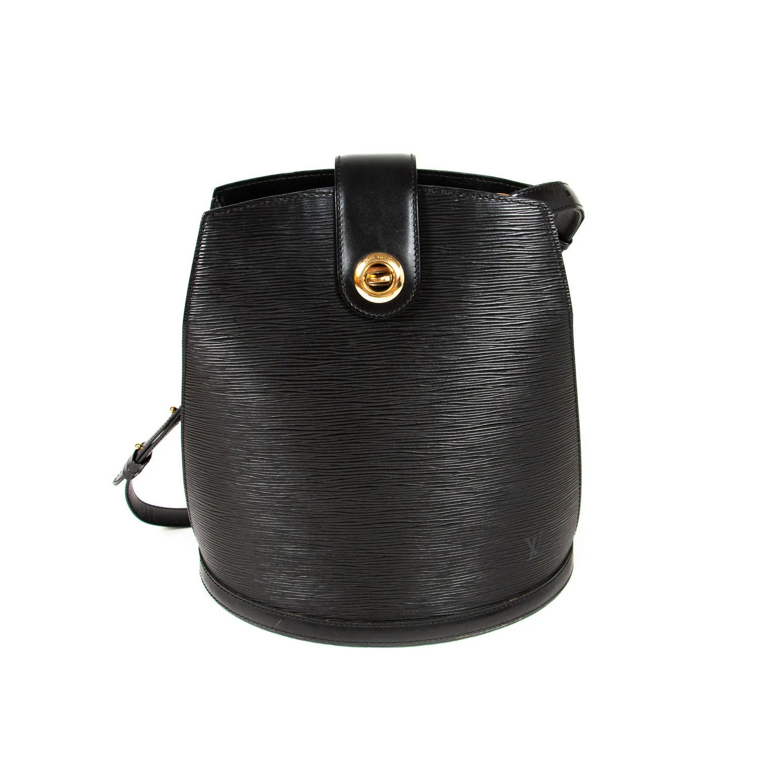 Louis Vuitton Epi Leather Cluny Bag